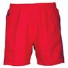 Arena Mens Berry Swim Shorts