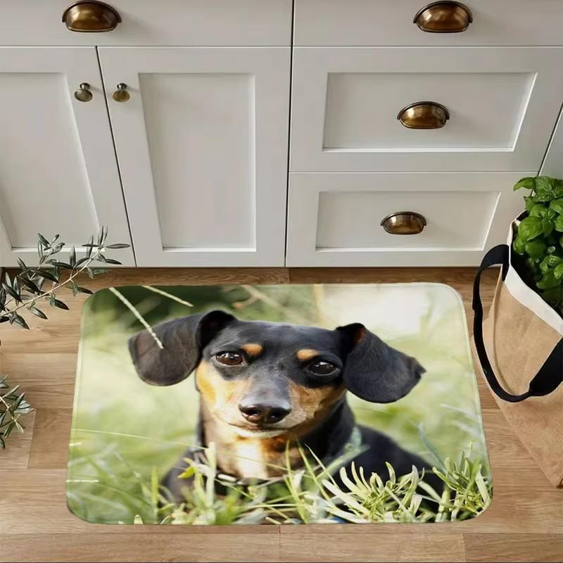 Mini Dachshund Dog Door Mat Decor Animal Pattern Print Rug Living Room Bedroom Entrance Doormat Kitchen Front Non-slip Carpet