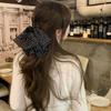 French Retro Mesh Bow Polka Dot Hair Claw - Fashionable Chiffon Half Claw for Autumn/Winter