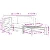 Garden Sofa with Cushions and Footstool 2 Seater