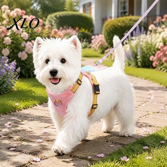 Secure Training Harness No Pull Dog with 5Ft Leash, Cute Colorful Wings Harness, Adjustable Soft Nylon Chest Strap Reflective Vest Handle for Walking