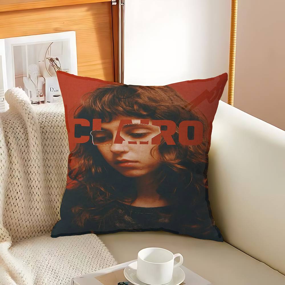 

Singer C-Clairo Pillow Cover For Bedroom Room And Living Room Sofa Decorative Cushion Cover 12x12Inch