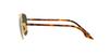 sunglasses RB3688 55 Gray Green lenses Ray-Ban Arista/Crystal (G-15XLT)