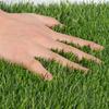 Plastic Artificial Grass Roll