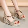 Fashion Shoes for Women Summer Women Wedge Bohemia Rhinestones Casual Platform Sandals Female Peep Toe Outdoor Beach Shoes Luxury 2025