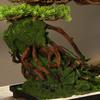 Simulation Green Plants Welcoming Pine Bonsai Planting Corners and Ornaments Living Room Decorations Zen Micro Landscape