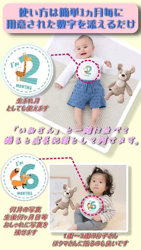 Product with Gift First Toy Bear Plush Toy with Photo Inspected in My Baby List Gift JP-SAKURA [Authentic Wrapping] Set, Japan, (Dog)