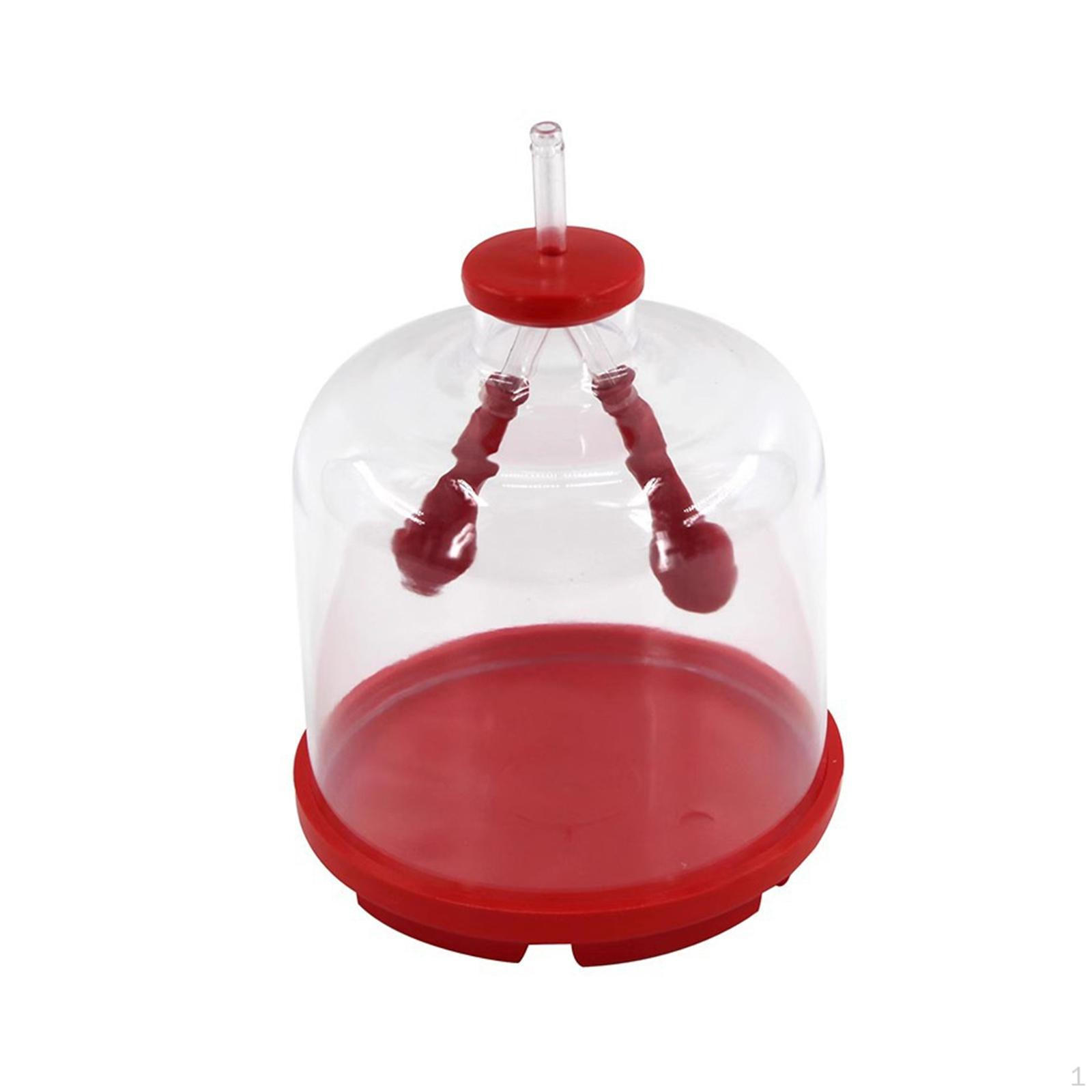 Lung Function Demonstration Model Classroom Teaching Experiment Kids Toys Biology Props