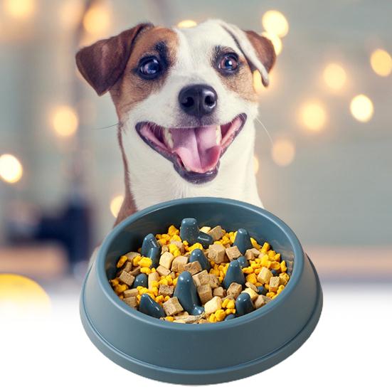 Pet Bowl Non-Slip Large Capacity Reusable Slow Feeder Dog Breed Food Bowl for Home Use