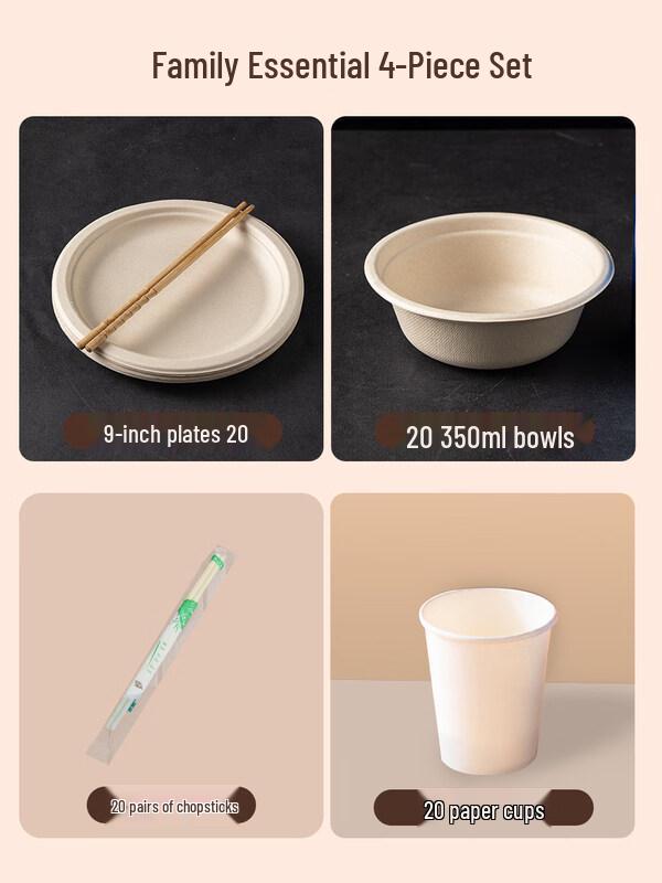 ZISIZ Disposable Food Grade Round Dinner Plate