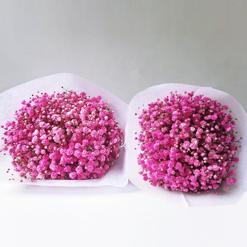 Baby's Breath Dried Flower Bouquet for Living Room Decor - Real Fresh Cut Flowers, Perfect for Gifting and Decorative Ornaments.
