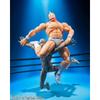 Tamashii Nations S.h. Figuarts   Perfect Superhuman Origin Chapter   Kinnikuman
