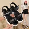 Fashion Sports Sandals for Women 2024 New Summer Wedge Muffin Platform Fish Mouth Daddy High Heels To Increase Women's Shoes