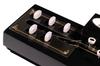 Taishogoto Black Beginner's Set,