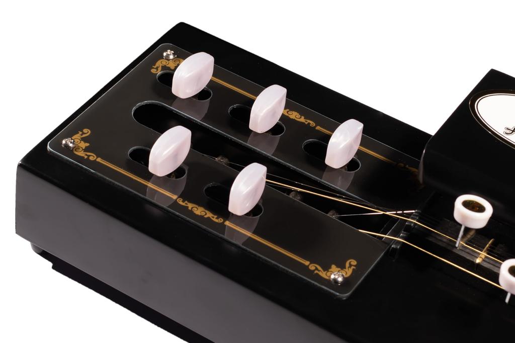 Taishogoto Black Beginner's Set,