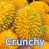 Shapeable Durian Squishy Building Blocks Blocks Filled Squishy Boys Girls Crunchy Squishy  Students
