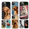 Hungarian Vizsla Dog Phone Case For iPhone 17 Air 16 15 14 11 12 13 Pro  MAX Plus Coque Cover Shell