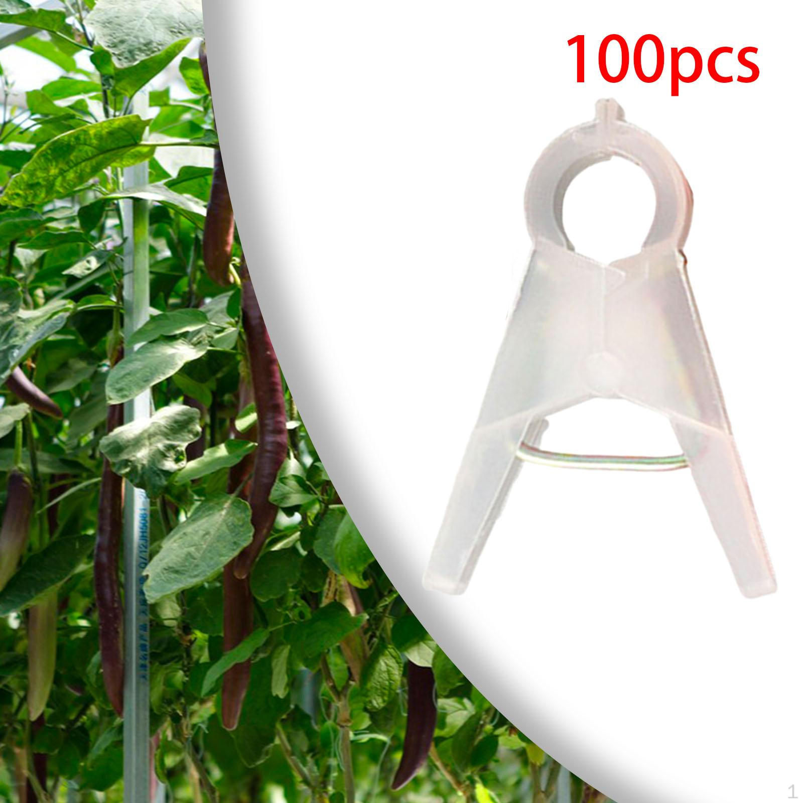 

100 шт. зажимы для садовых растений, зажим для цветов, многоразовая опора для скалолазания