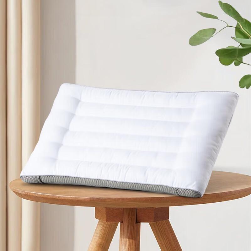 

Mercury Home Textiles Belif Lavender Antibacterial Pillow