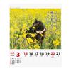 2026 Calendar Cat Senryu (Weekly)