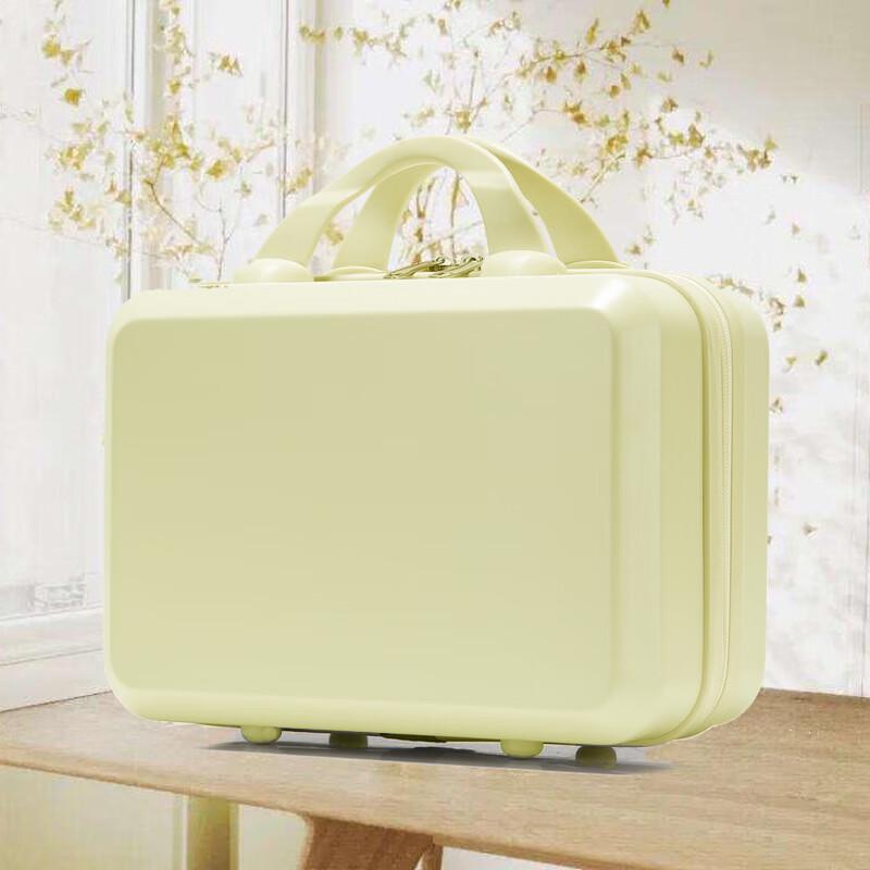 Xiao Yan Makeup & Travel Carry-on Case