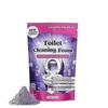 Fizzclean Toiletten-Schaumreiniger, Insta-Action Fizzclean Schaumreiniger