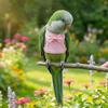 Adjustable Parrot Flying Harness Safety Parrot Flight Suit Bird Chest Strap Cockatiel Supplies