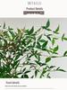 Artificial Nandina Domestica Green Plant: New Chinese Style Decorative Potted Shrub for Home or Hotel