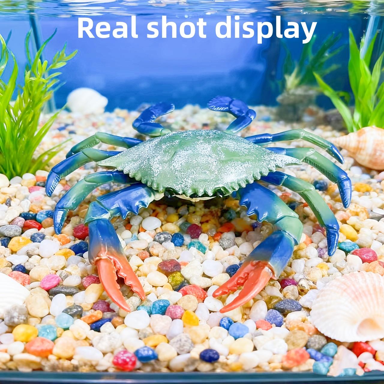 High-Quality Simulation High-Quality Of High-Quality Underwater High-Quality Creatures, High-Quality Crab High-Quality Toys, High-Quality Animal