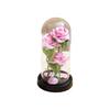 Artificial Rose, Preserved Flower Night Light, Valentine's Day/Mother's Day Gift.