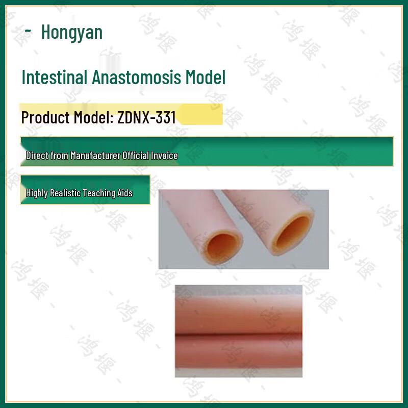Intestinal Anastomosis Training Model