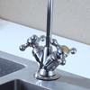 Anica Enjoy Brass Dual-Inlet Single-Cold Water Purifier Faucet