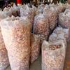 Yunnan Plateau Second Grade Dried Red Mushrooms - Delicious Bulk Red Mushrooms