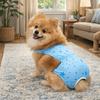 Washable Pet Physiological Pants Adjustable Dog Menstrual Panties  Abdominal Wounds