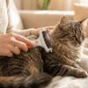 Professional Dog Knot Opening Comb Portable Cat Cleaning Comb Dog Hair Remover  For Dogs Cats