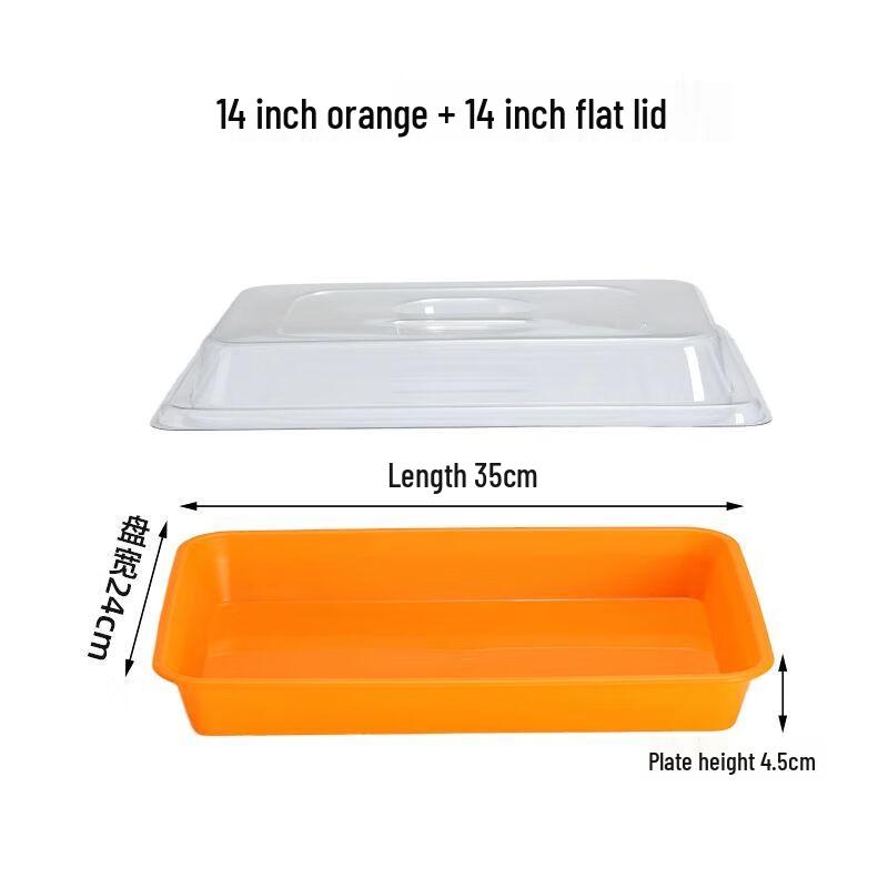 Stainless Steel Rectangular Display Tray with Lid