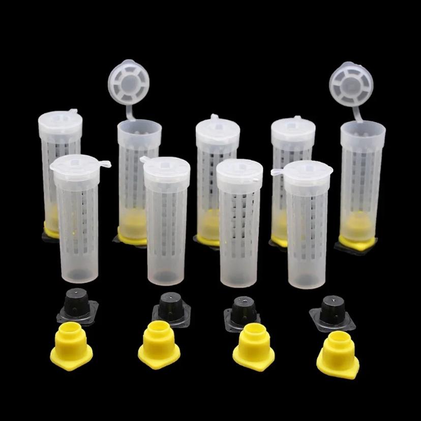 10 Pcs Beekeeping Bee Plastic Queen Rearing Cage Cup Box Protection Cover Catcher Protective Base Bees Tools Supplies Equipment