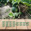 Efficient For plant Support System 20pcs Melon Stands to Elevate Fruits Off the Ground for Better Air Circulation