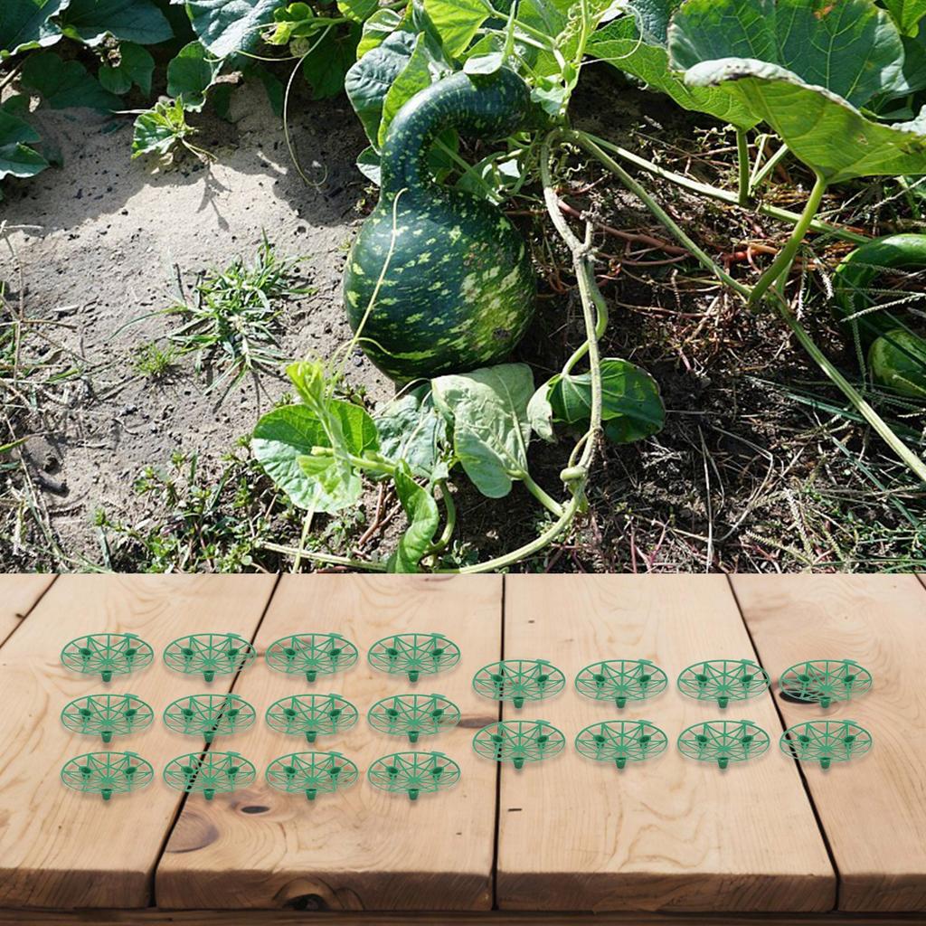 Efficient For plant Support System 20pcs Melon Stands to Elevate Fruits Off the Ground for Better Air Circulation