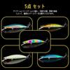 [RISOUHE] Lure Floating Minnow Set, 5 Colors, Minnow, Sea Bass,