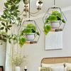 Hanging Plants Holder with Wooden Base Farmhouse Rustic Indoor Hanging Flower Pot Planter Shelf Basket Plants Hanger Decoration