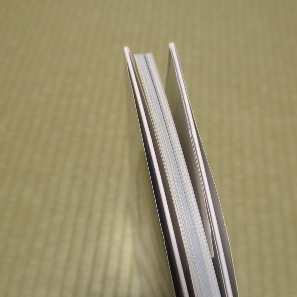 [USED] Otono Shida photo book “Hey!”