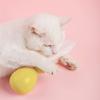 ABS Durable Pet Robot Attractive Tumbler Swing Ball with Feather Cat Teaser Funny ToyYellow