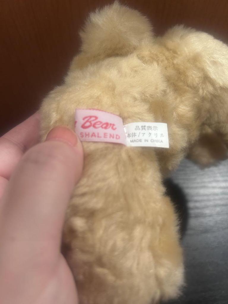 [USED] shaly bear teddy bear detachable hoodie