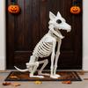 Accesorii de petrecere – Accesorii de Halloween