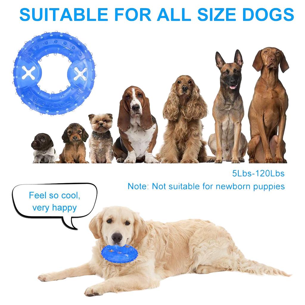 Pet Toy Chew  TPR Rubber Funny Water Sucking Clean Teeth Water Series