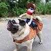 Adjustable Dog Riding Denim Clothing Novelty Cat Party Dressed Up Halloween Dog Clothes  Gift