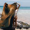 Science Fiction Movie D-Dune Big Microfiber Beach Towels Quick Dry Towel Sand Beach Towels Pool Towel For Travel Swim Pool Yoga