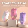 Adjustable 6400DPI CW905 Wired Gaming Mouse RGB LED Light USB Gaming Mouse  for Daily Use