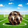 1pc Wild Bear Encounter Theme Soccer Ball Football, Size 5, Lightweight PVC, Outdoor Training Soccer Ball,Gift C6510